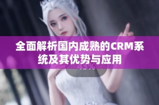 全面解析国内成熟的CRM系统及其优势与应用