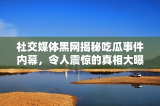 社交媒体黑网揭秘吃瓜事件内幕，令人震惊的真相大曝光