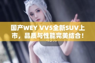 国产WEY VV5全新SUV上市，品质与性能完美结合！