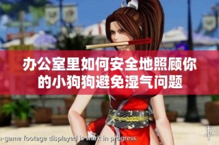 办公室里如何安全地照顾你的小狗狗避免湿气问题