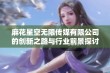 麻花星空无限传媒有限公司的创新之路与行业前景探讨