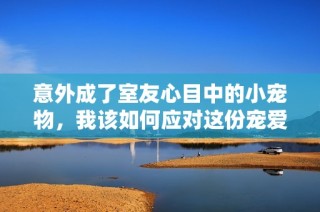 意外成了室友心目中的小宠物，我该如何应对这份宠爱