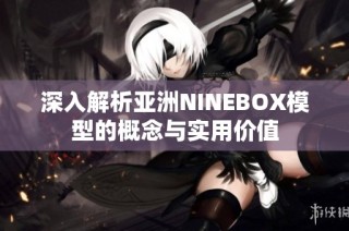 深入解析亚洲NINEBOX模型的概念与实用价值