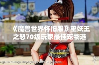 《魔兽世界怀旧服》巫妖王之怒70级玩家最佳宠物选择攻略