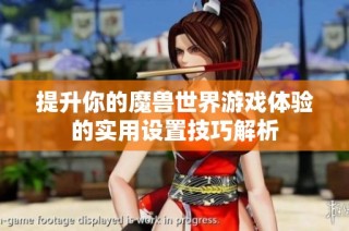 提升你的魔兽世界游戏体验的实用设置技巧解析