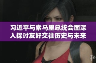 习近平与索马里总统会面深入探讨友好交往历史与未来合作