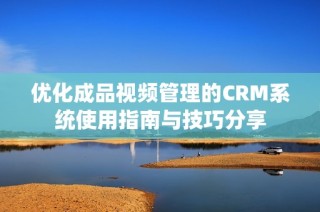 优化成品视频管理的CRM系统使用指南与技巧分享