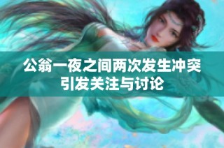 公翁一夜之间两次发生冲突引发关注与讨论