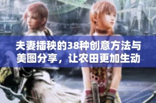 夫妻插秧的38种创意方法与美图分享，让农田更加生动