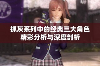 抓灰系列中的经典三大角色精彩分析与深度剖析