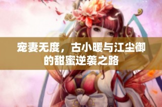 宠妻无度，古小暖与江尘御的甜蜜逆袭之路
