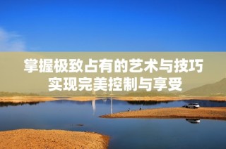 掌握极致占有的艺术与技巧 实现完美控制与享受