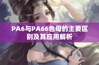 PA6与PA66色母的主要区别及其应用解析