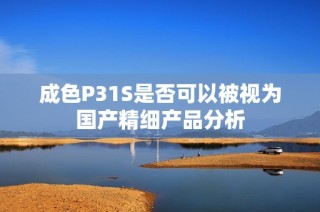成色P31S是否可以被视为国产精细产品分析