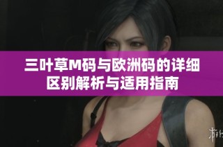 三叶草M码与欧洲码的详细区别解析与适用指南