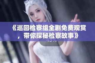 《巡回检察组全剧免费观赏，带你探秘检察故事》