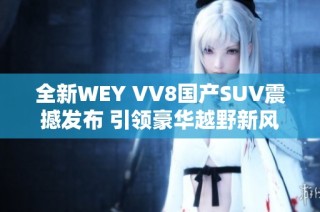 全新WEY VV8国产SUV震撼发布 引领豪华越野新风尚