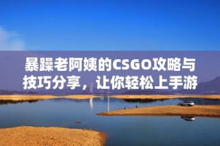 暴躁老阿姨的CSGO攻略与技巧分享，让你轻松上手游戏