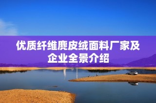 优质纤维麂皮绒面料厂家及企业全景介绍