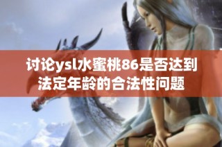 讨论ysl水蜜桃86是否达到法定年龄的合法性问题