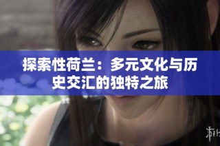 探索性荷兰：多元文化与历史交汇的独特之旅