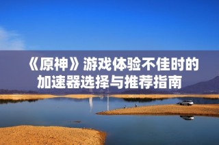 《原神》游戏体验不佳时的加速器选择与推荐指南