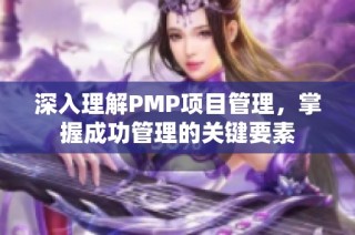 深入理解PMP项目管理，掌握成功管理的关键要素