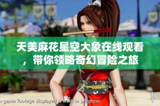 天美麻花星空大象在线观看，带你领略奇幻冒险之旅