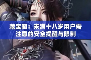 藏宝阁：未满十八岁用户需注意的安全提醒与限制