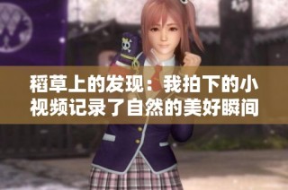 稻草上的发现：我拍下的小视频记录了自然的美好瞬间