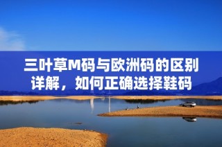 三叶草M码与欧洲码的区别详解，如何正确选择鞋码