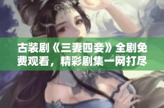 古装剧《三妻四妾》全剧免费观看，精彩剧集一网打尽