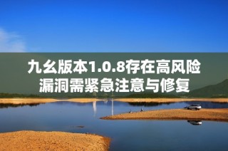 九幺版本1.0.8存在高风险漏洞需紧急注意与修复