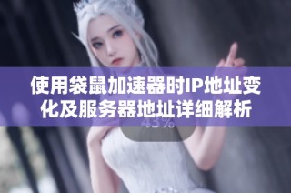 使用袋鼠加速器时IP地址变化及服务器地址详细解析