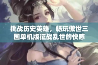 挑战历史英雄，畅玩傲世三国单机版征战乱世的快感