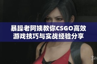 暴躁老阿姨教你CSGO高效游戏技巧与实战经验分享