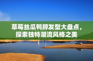 草莓丝瓜鸭脖发型大盘点，探索独特潮流风格之美