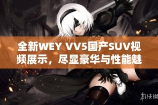 全新WEY VV5国产SUV视频展示，尽显豪华与性能魅力