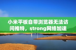 小米平板自带浏览器无法访问推特，strong网络加速器有效吗