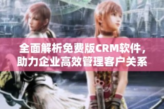 全面解析免费版CRM软件，助力企业高效管理客户关系