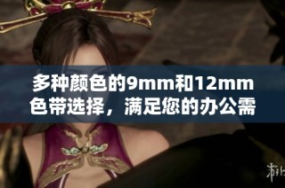 多种颜色的9mm和12mm色带选择，满足您的办公需求