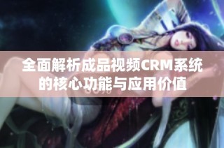 全面解析成品视频CRM系统的核心功能与应用价值