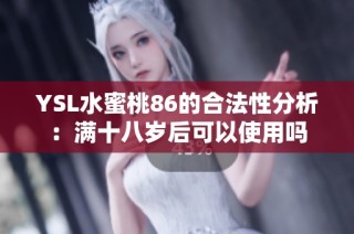YSL水蜜桃86的合法性分析：满十八岁后可以使用吗