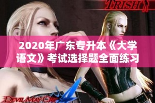 2020年广东专升本《大学语文》考试选择题全面练习指南