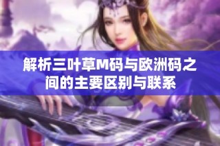 解析三叶草M码与欧洲码之间的主要区别与联系