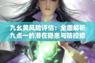 九幺黄风险评估：全面解析九点一的潜在隐患与防控措施
