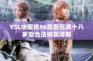 YSL水蜜桃86是否在满十八岁后合法购买详解