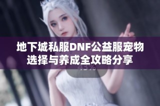 地下城私服DNF公益服宠物选择与养成全攻略分享