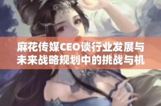 麻花传媒CEO谈行业发展与未来战略规划中的挑战与机遇