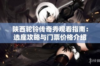 陕西驼铃传奇秀观看指南：选座攻略与门票价格介绍